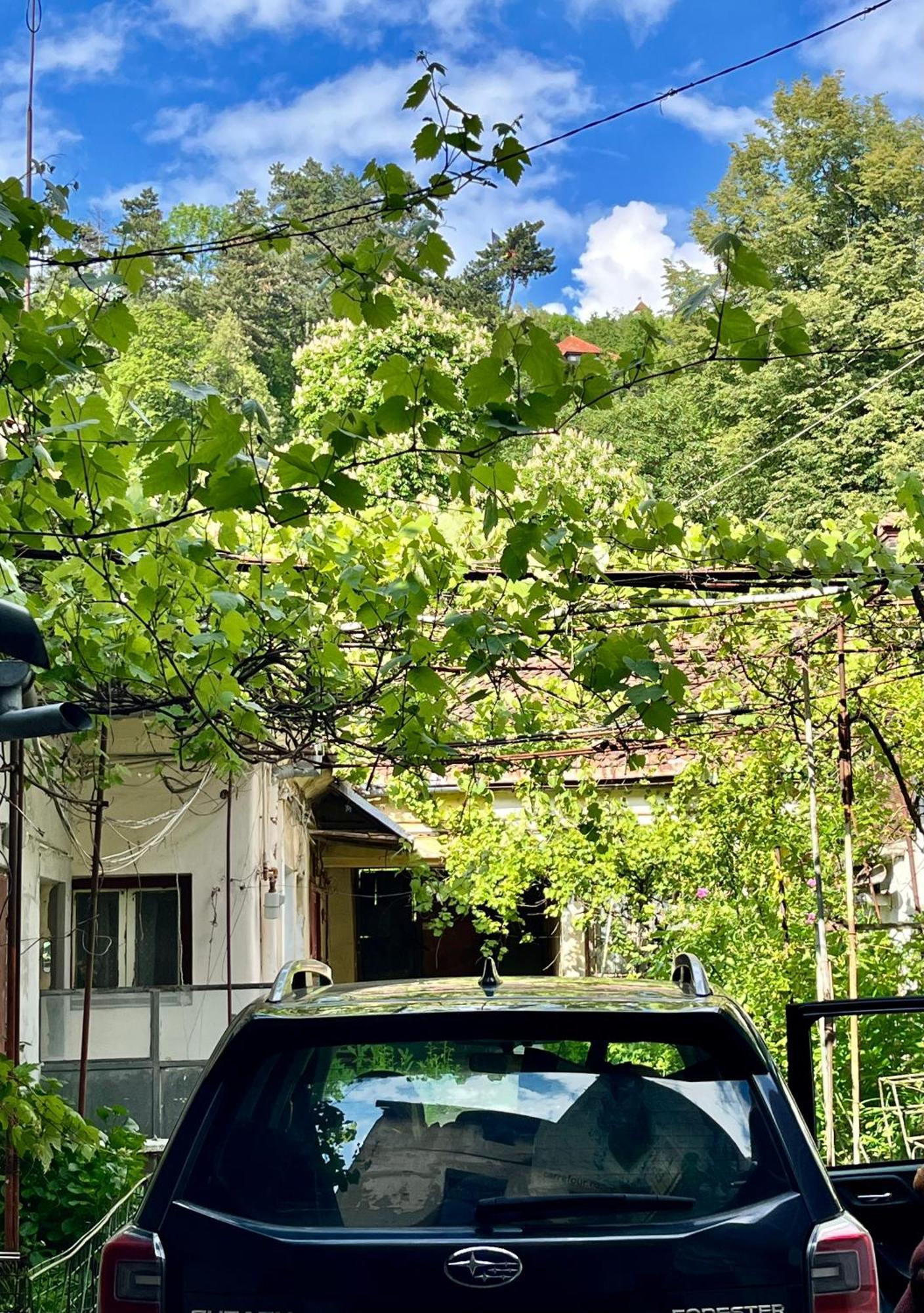 Casa Ming Villa Brasov Ngoại thất bức ảnh