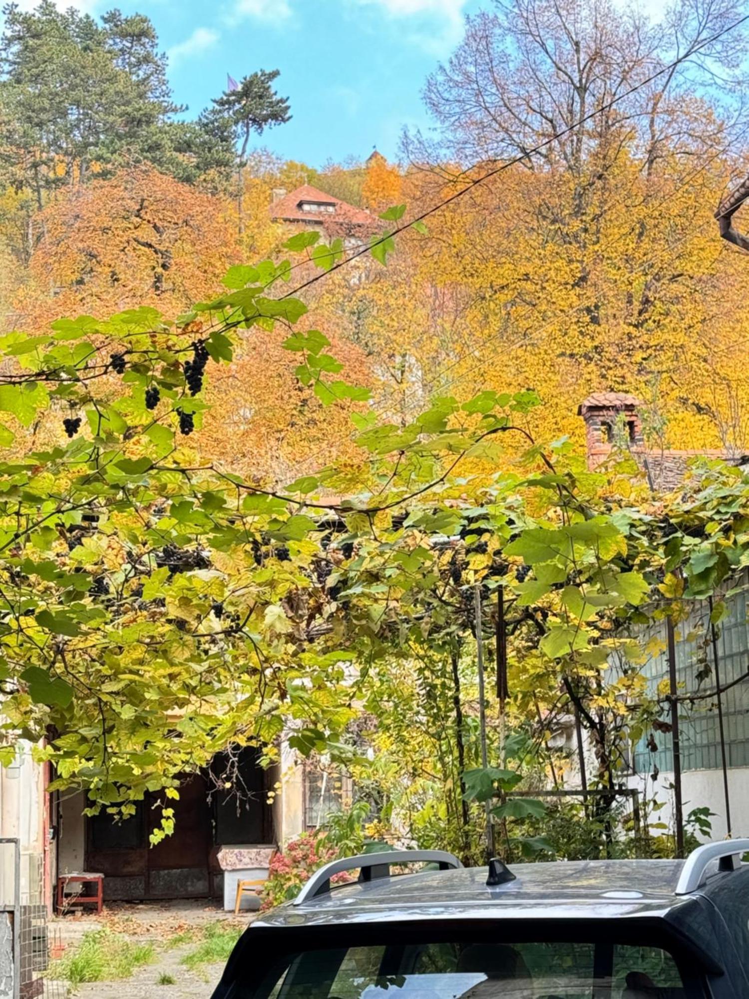 Casa Ming Villa Brasov Ngoại thất bức ảnh